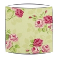 Clarke and Clarke Nancy lampshade in apple